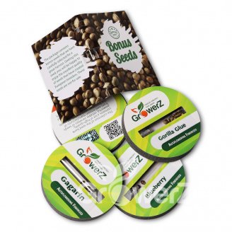 Mix Auto Fem.