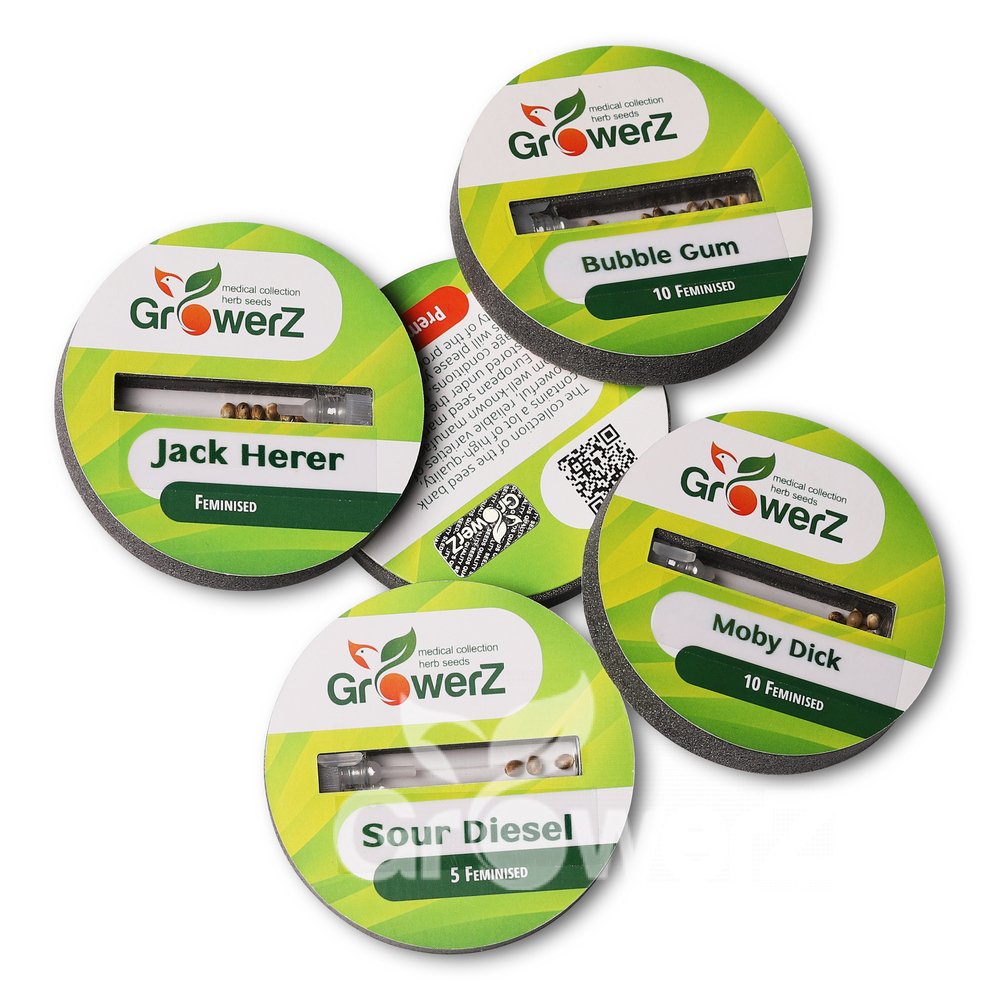 AK 47 Fem.